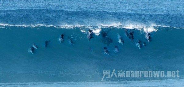 两会之声｜中远海控总经理：建议给航运新经济业态提供更具针对性的制度保障